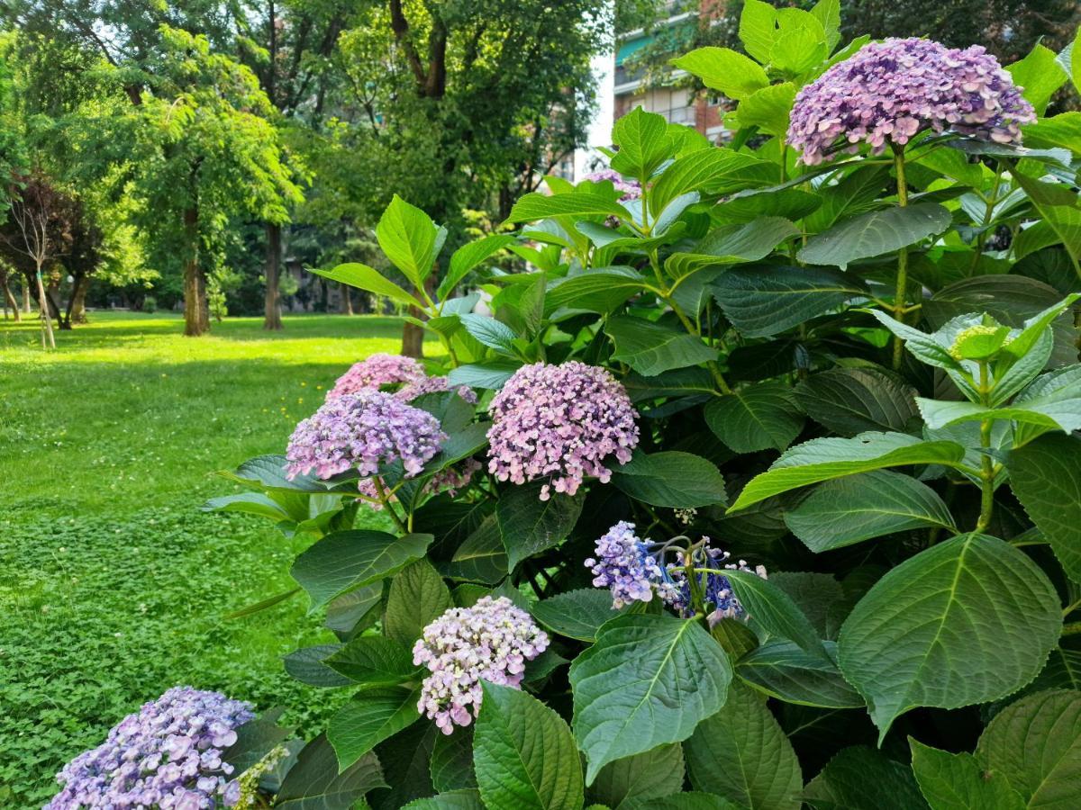 밀라노 Giardino Sul Naviglio 아파트 외부 사진